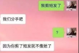 沈丘要账公司更多成功案例详情